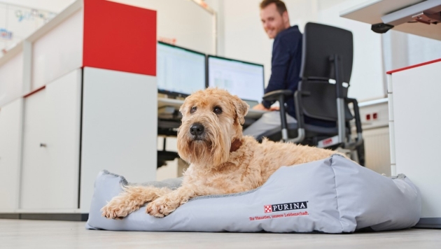 Engagement über den Napf hinaus - - Quelle: Nestlé Purina Petcare